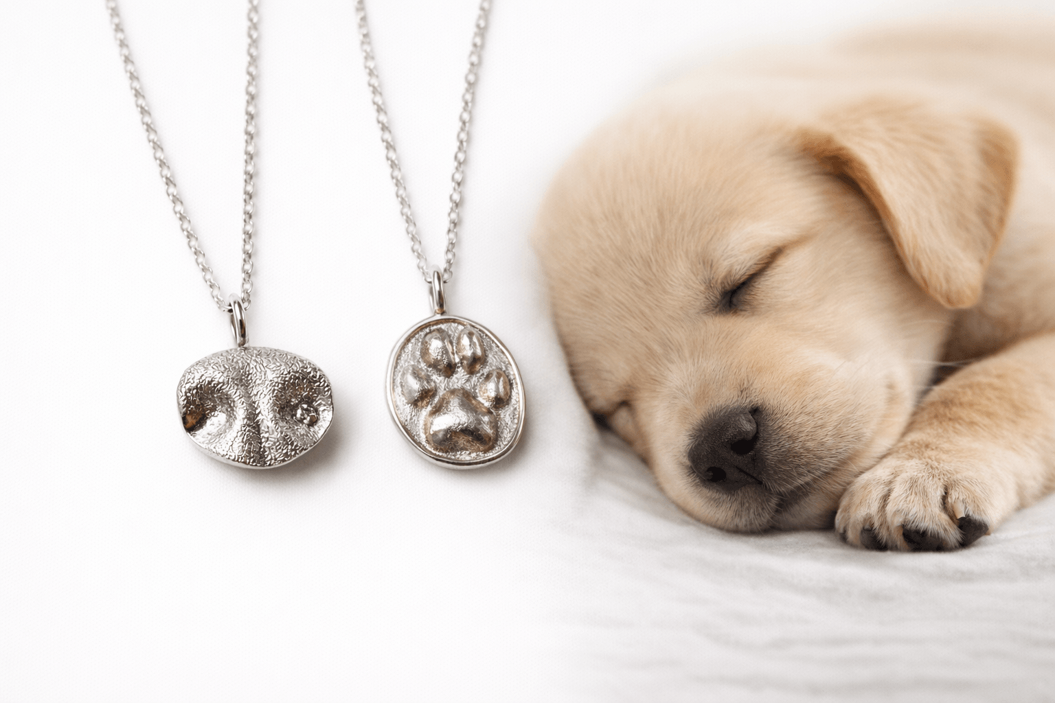 Imprints Collection