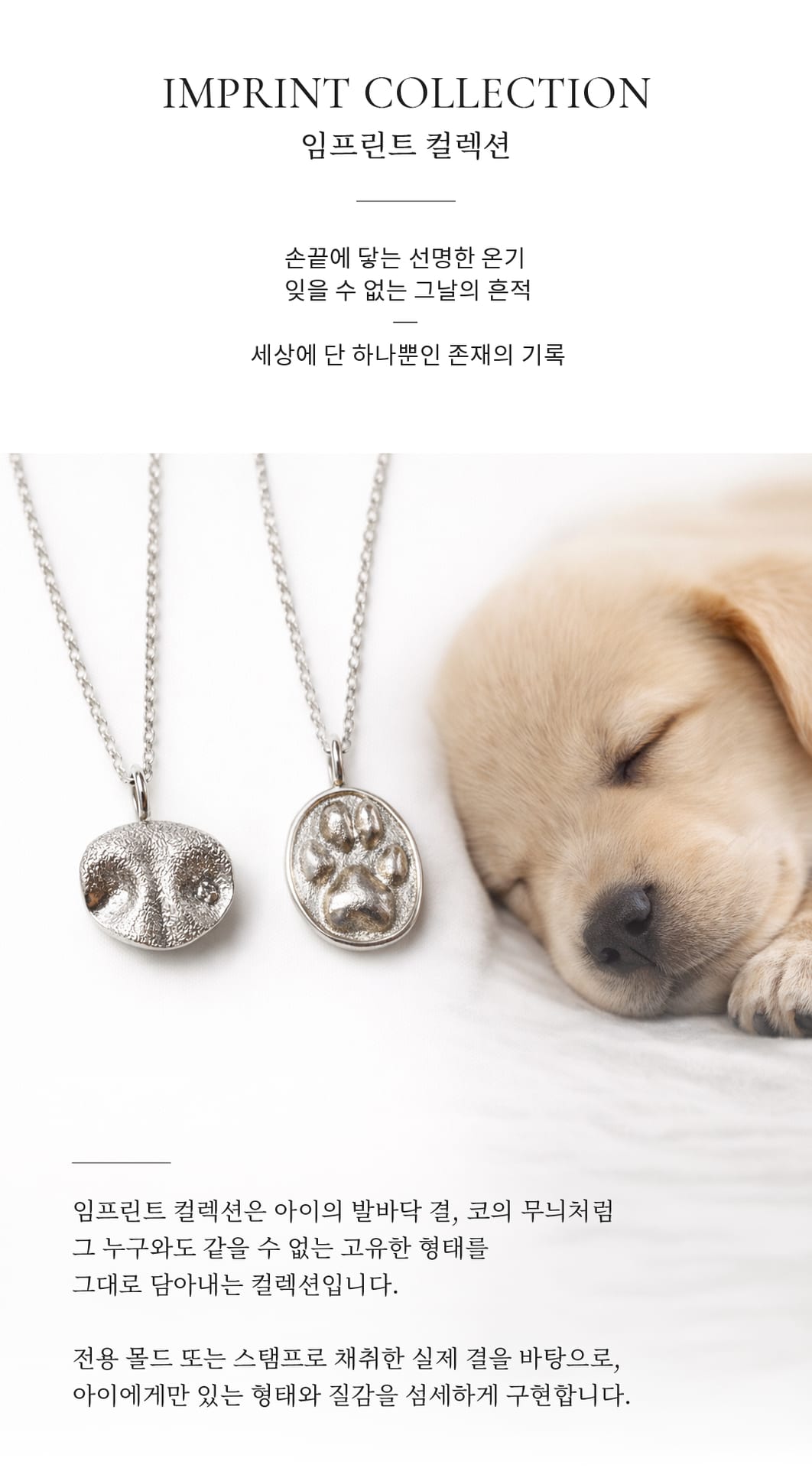 C00-S 상세 2